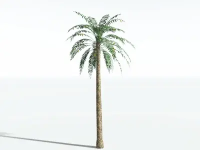 EVERYPlant Date Palm LowPoly 4 --16 Models-- Low-poly 3D model