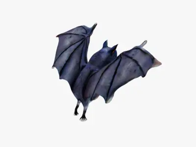 Bat Animal Free 3D model