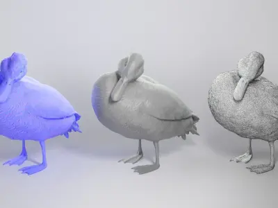 Duck 16 Low-poly 3D model