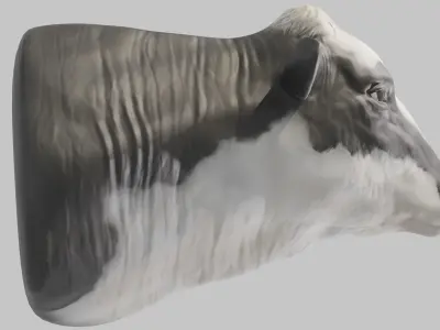 PBR Free Cow Head Free 3D model