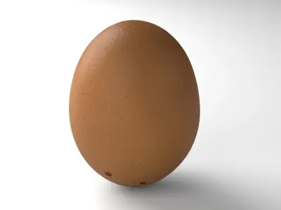 Egg 02 - Photorealistic Scan Low-poly 3D model