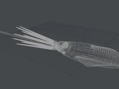 Giant Squid 3D model