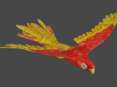 scarlet macaw 3D model