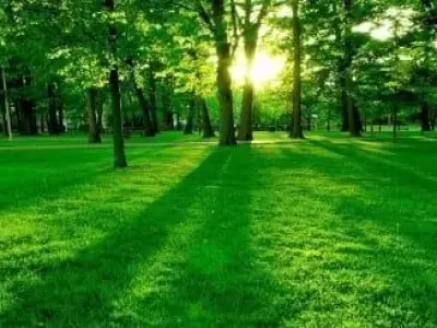 indian railway generator car Free low-poly 3D model