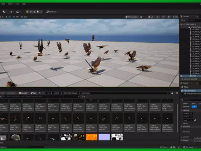 White Tailed Eagle Low-poly 3D model