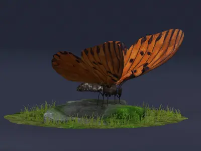 Danaus Plexippus Butterfly Milkweed Monarch  3D model