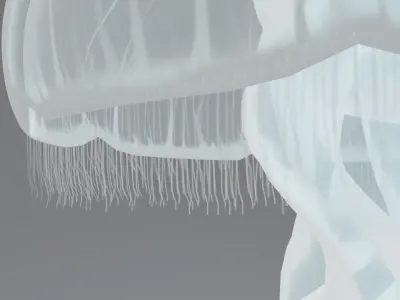 Aurelia Aurita or common jellyfish 3D model