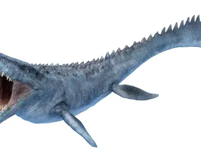 Mosasaurus 3D model