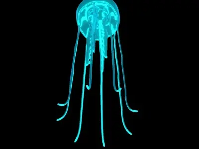 jellyfish glowing Low-poly 3D model