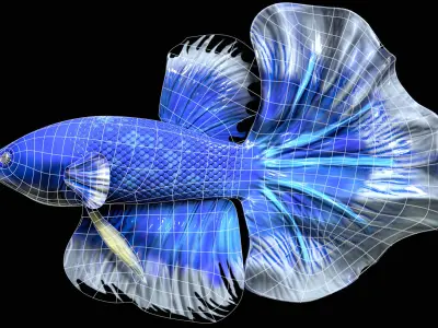 Betta fish Low-poly 3D model