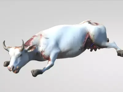 Cattle Mutilation 3D model