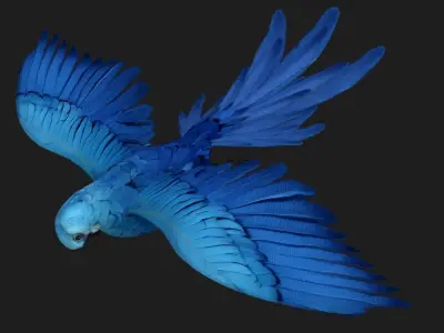 Parrot A4 3D model