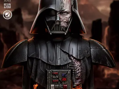 STAR WARS Darth Vader Batlle Damage Portrait Bust  3D print model