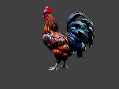 Rooster Animal Low-poly 3D model