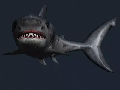 3DRT - Sealife - Shark Low-poly 3D model