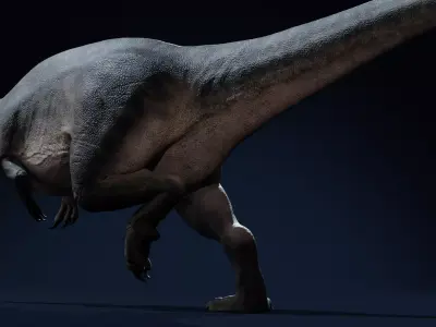 Carcharodontosaurus Rig Low-poly 3D model