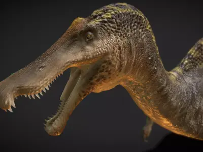 Irritator challengeri Low-poly 3D model