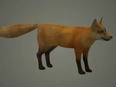 wildlife fox animal mammal fox animal nature wild  3D model