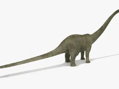 Diplodacus Dinosaur -Animated  Low-poly 3D model