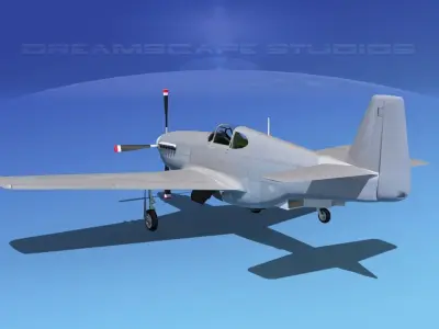 North American Mustang X Bare Metal 3D model