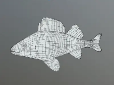 Bass - Fish Free low-poly 3D model