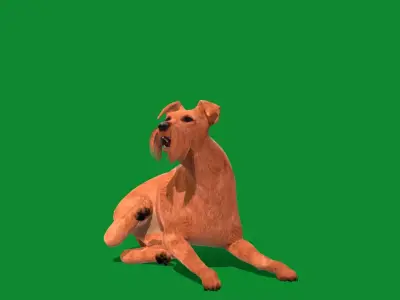 Irish Terrier Dog Free low-poly 3D model