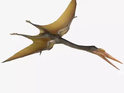 Quetzalcoatlus dinosaur Low-poly 3D model