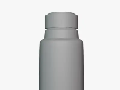 Basic Bottle with Label - Geometry Only No Textures No Materials 3D model