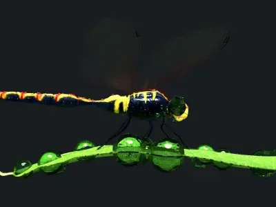 Dragonfly on leaf 3D model