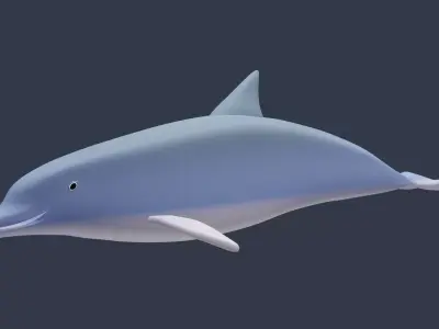 Cute Dolphin Low-poly 3D model