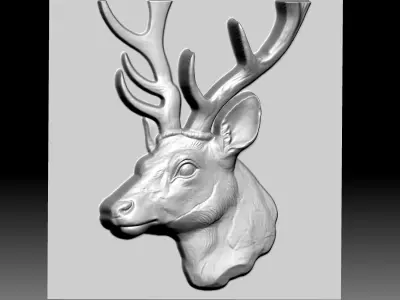 Dear Reilef 3D model