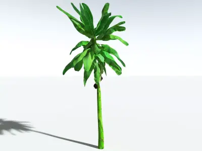 EVERYPlant Banana Plant 3D model