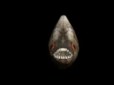 Piranha fish with teeth Low-poly 3D model