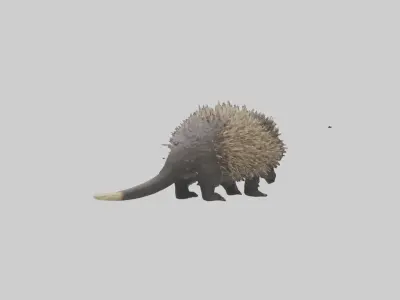 Porcupine hissing model Low-poly 3D model