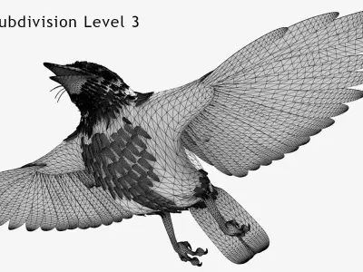 Bluejay jay in flight 3D model