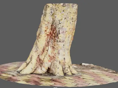 Tree Trunk 2 for 3d Model - 3d Scan 3D model