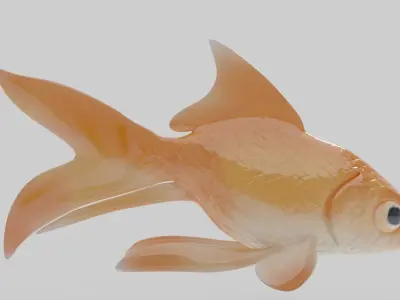 Gold Fish 3D Model Low-poly 3D model