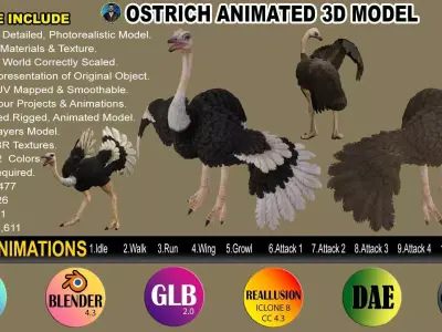 OSTRICT RIGGED ANIMATED 11 Low-poly 3D model