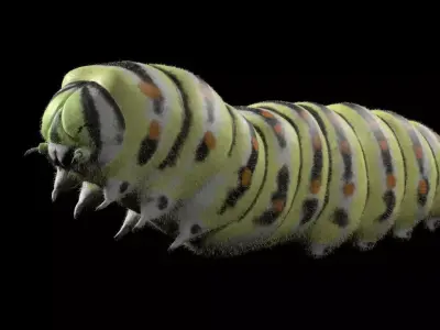 Caterpillar Insect Low-poly 3D model