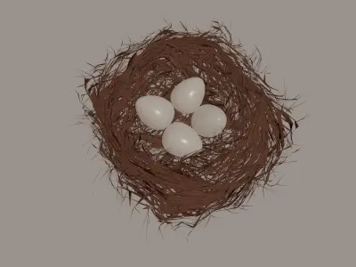 Bird Nest 3D model