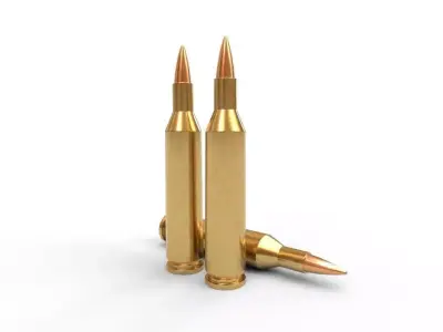 17 Remington Ammo Low-poly 3D model