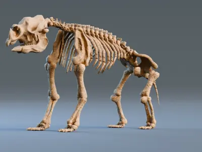 Relistic Mammals Fossil - Diprotodon Low-poly 3D model