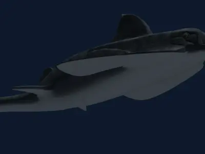 groenlandaspis shark Low-poly 3D model