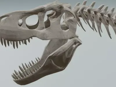Realistic T-Rex Dinosaur Skeleton 3D Model Low-poly 3D model
