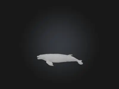 Realistic Injured Whale Model Low-poly 3D model