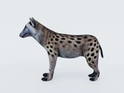 Hyena Free 3D model