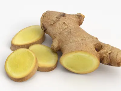 Fresh Ginger Root Slices 2 3D model