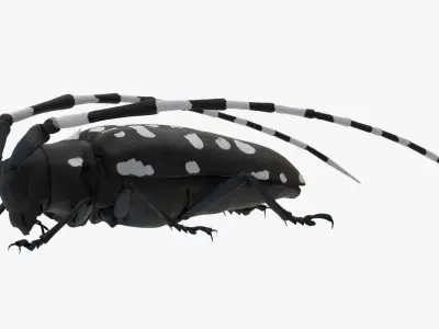 4K Longhorn Beetle Low-poly 3D model