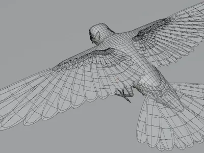 Black Bird Low-poly 3D model