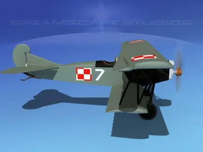 Fokker D-VII V14 Poland 3D model